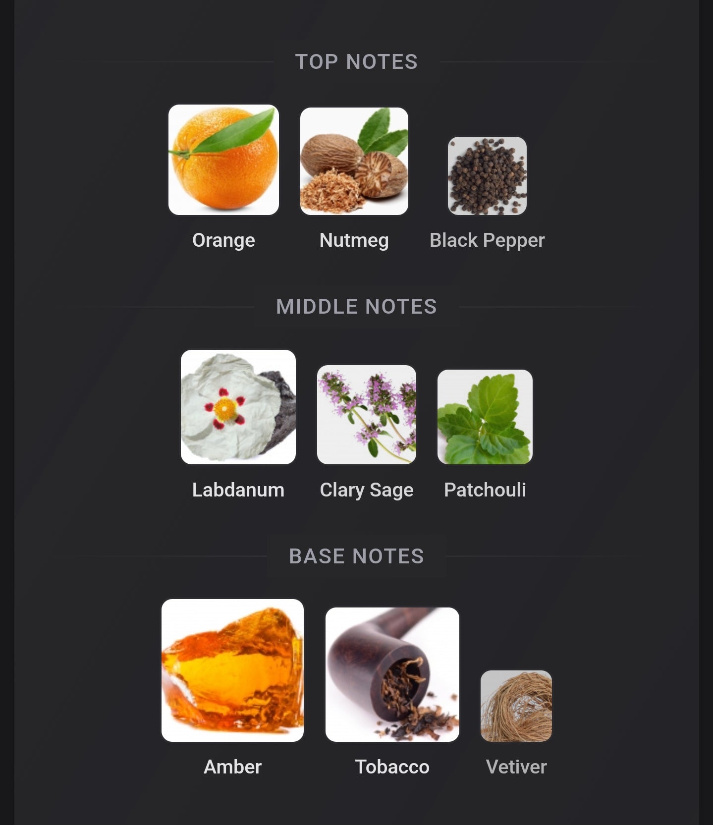 Dolce & Gabbana The One Parfum