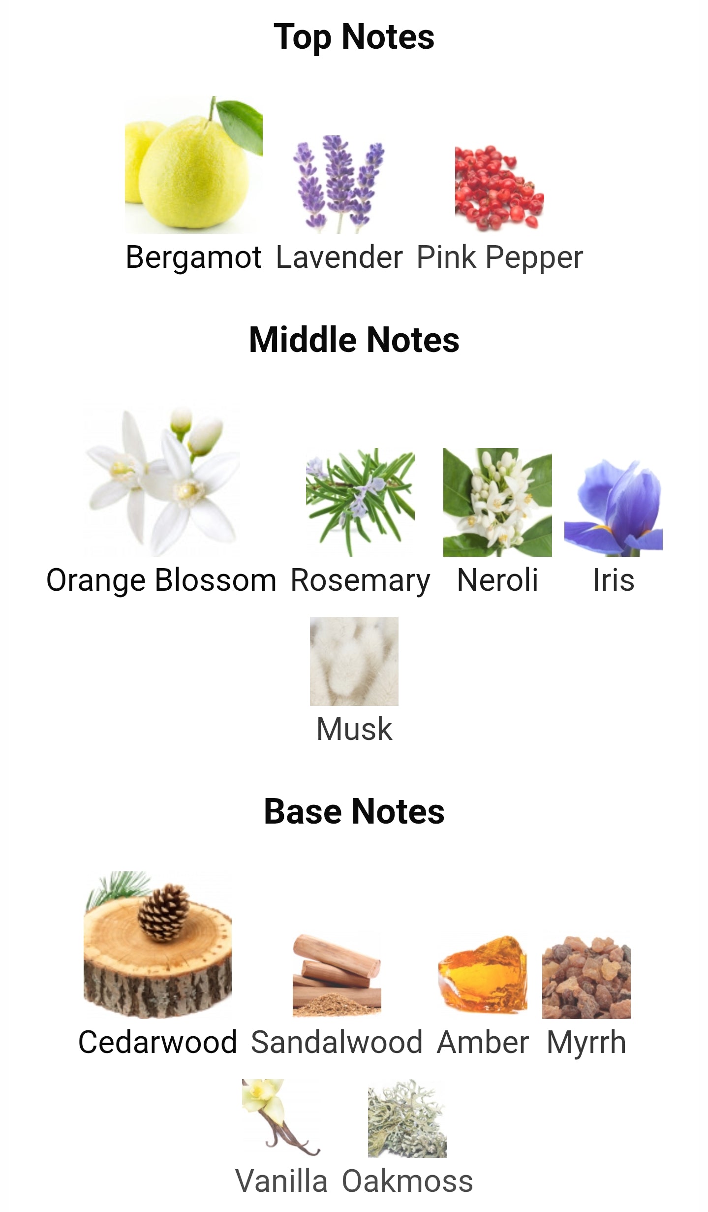 French Avenue Aromatix Magnetiq