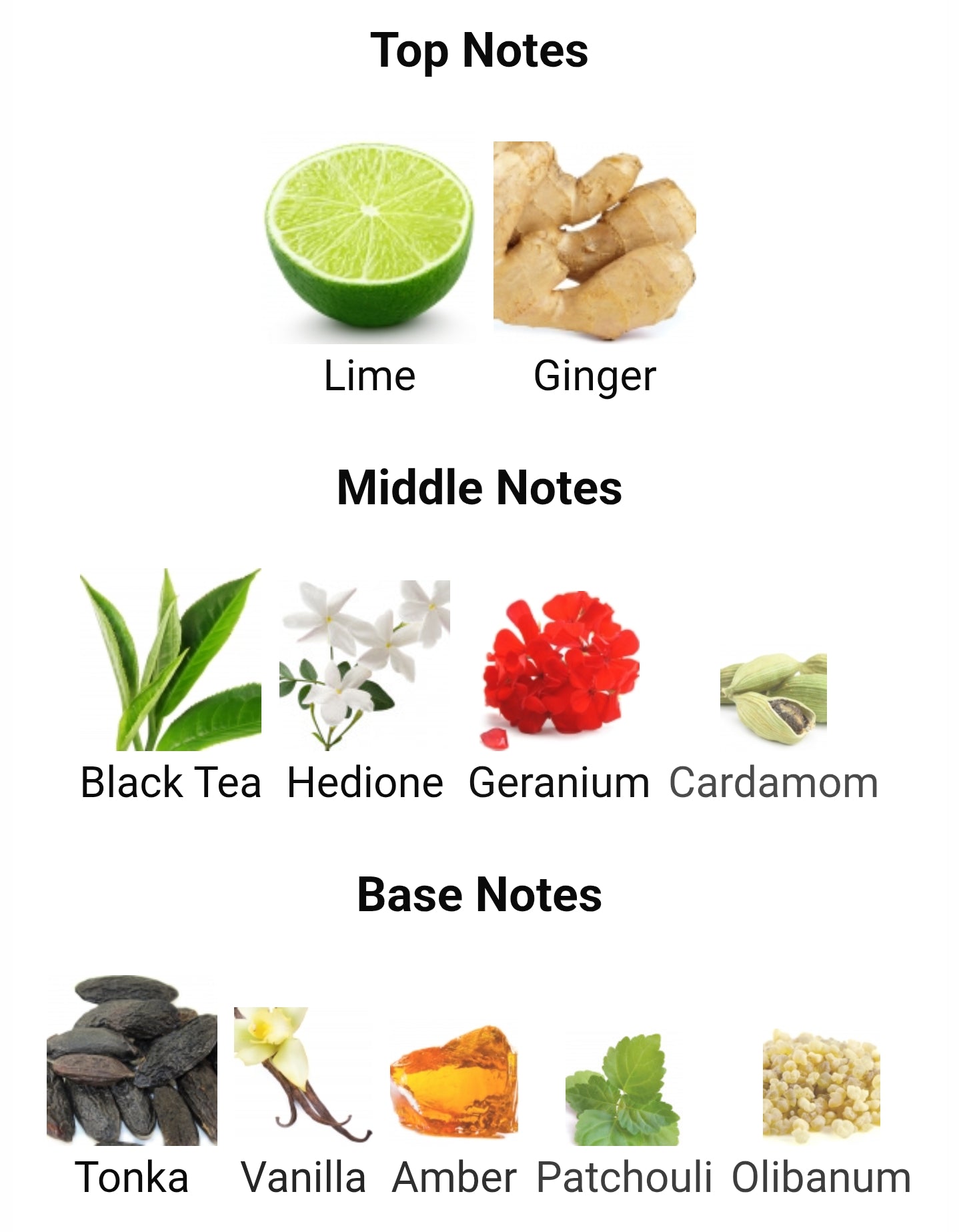 French Avenue Aromatix Teas Me