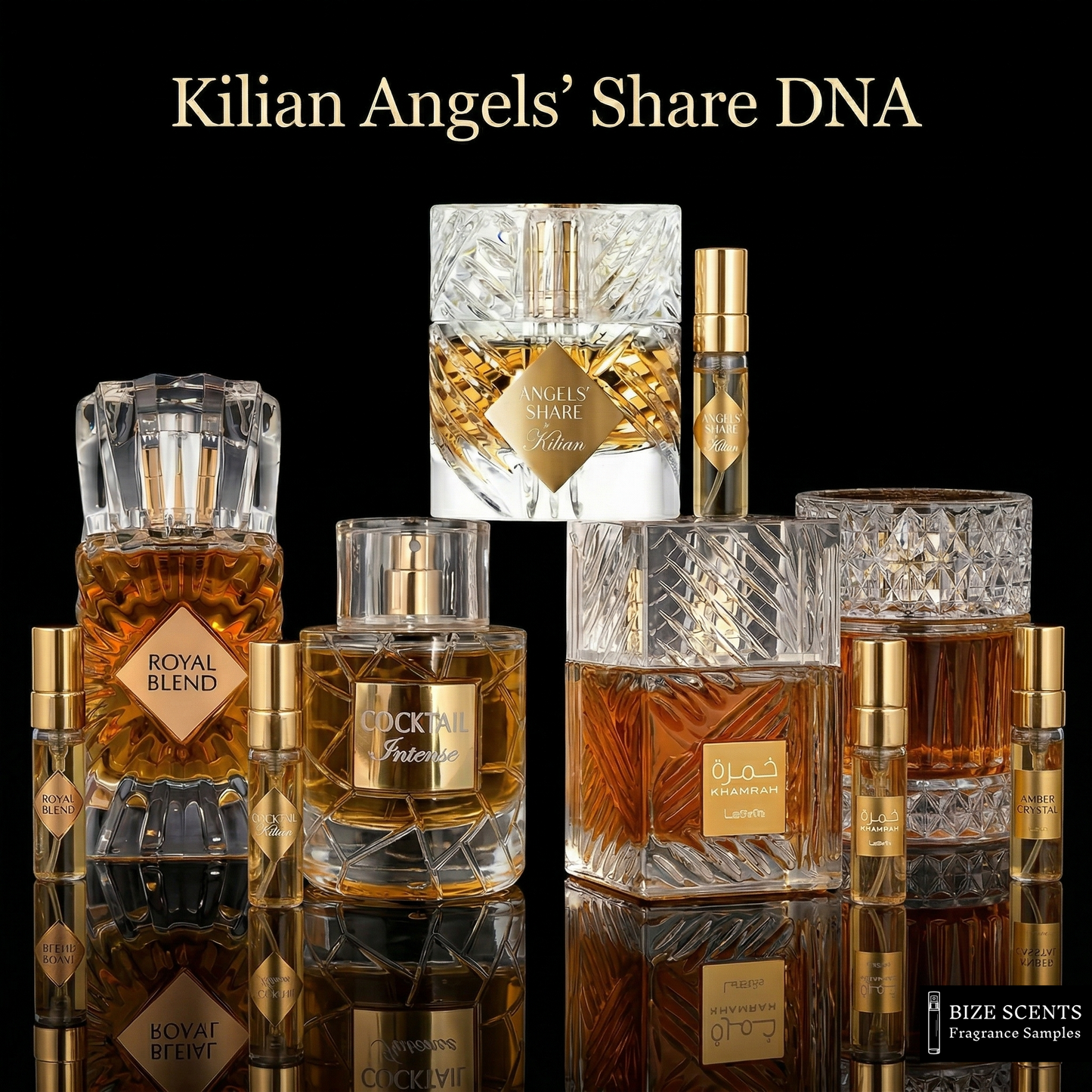 Kilian Angels Share DNA Set