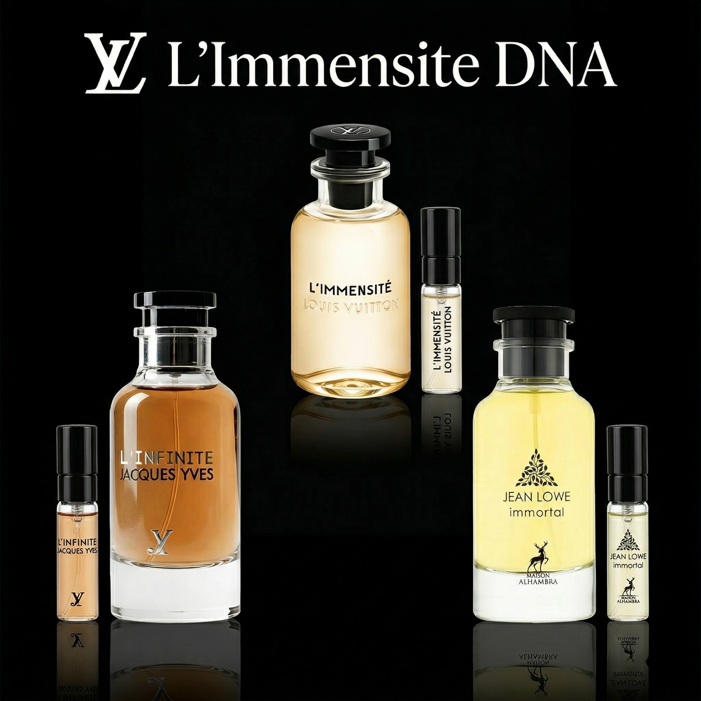 LV L'Immensite DNA Discovery Set