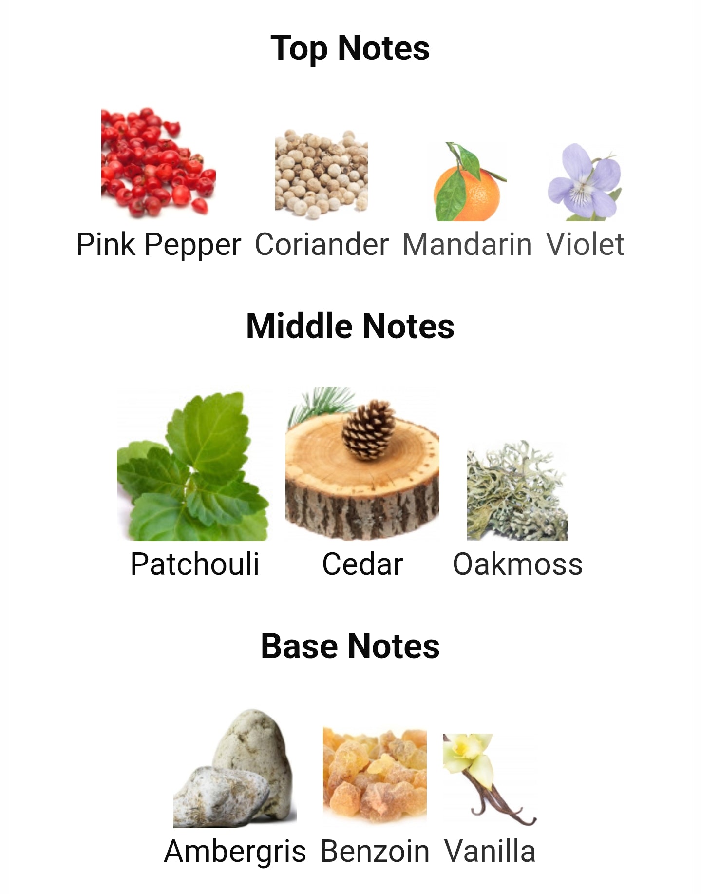 Paris Corner Emir Rifaaqat Adorn