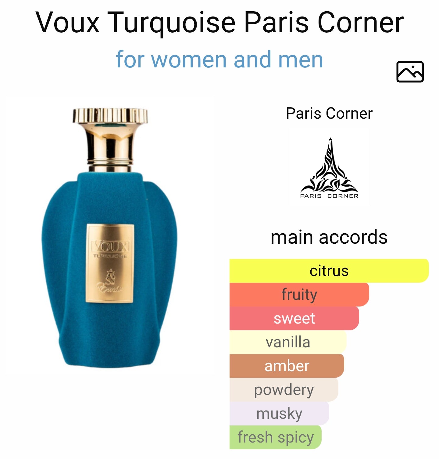 Paris Corner Emir Voux Turquoise