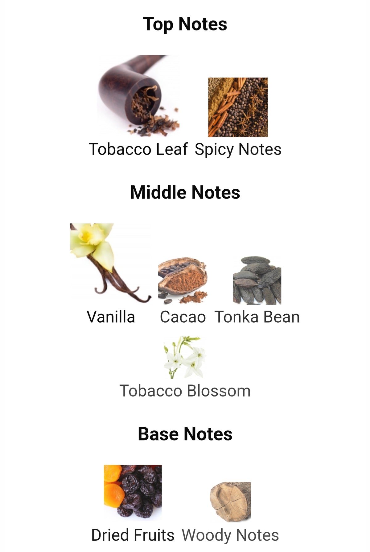 Tom Ford Tobacco Vanille