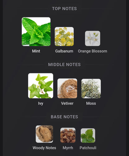 Amouage Beach Hut Man