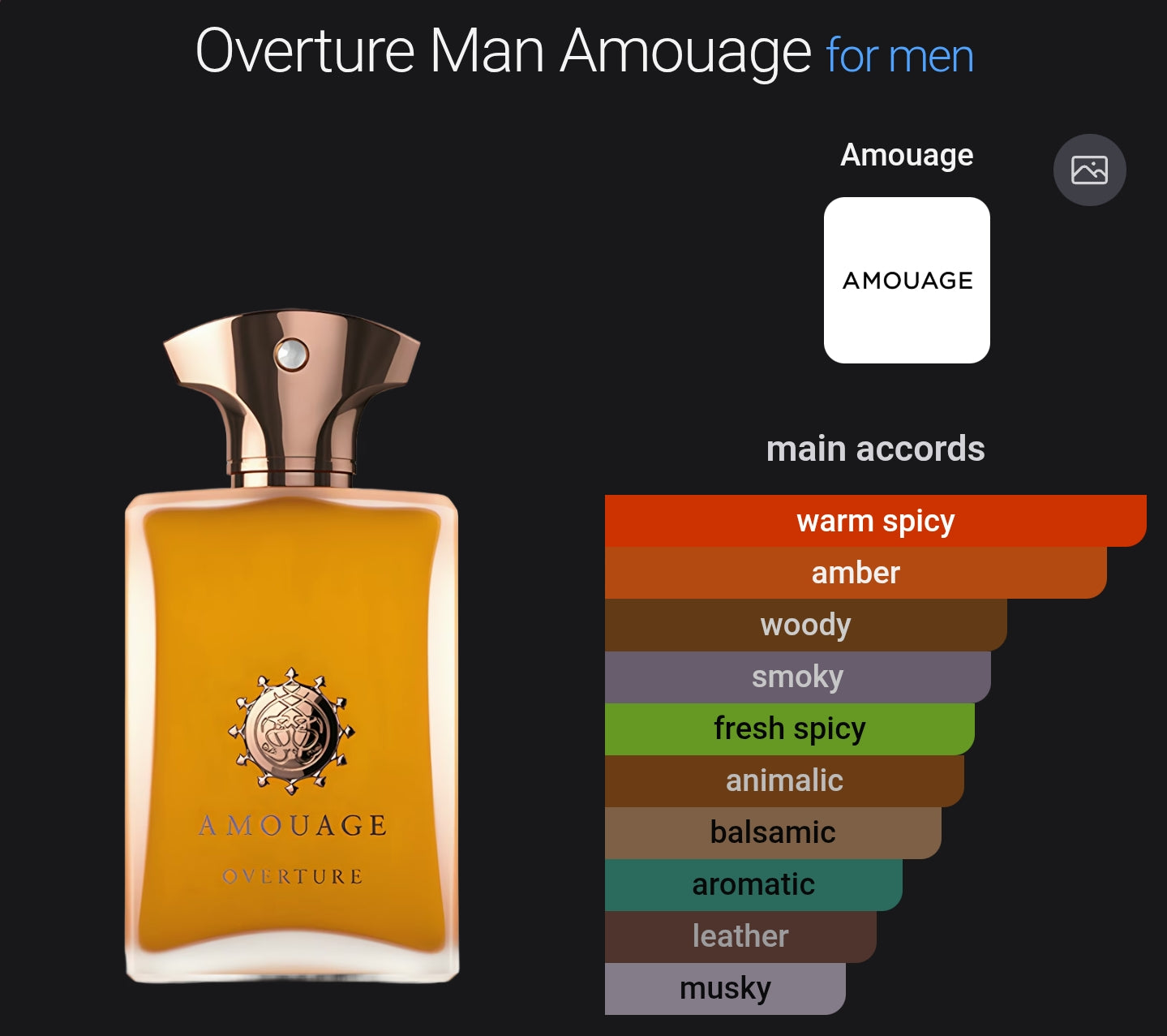 Amouage Overture Man