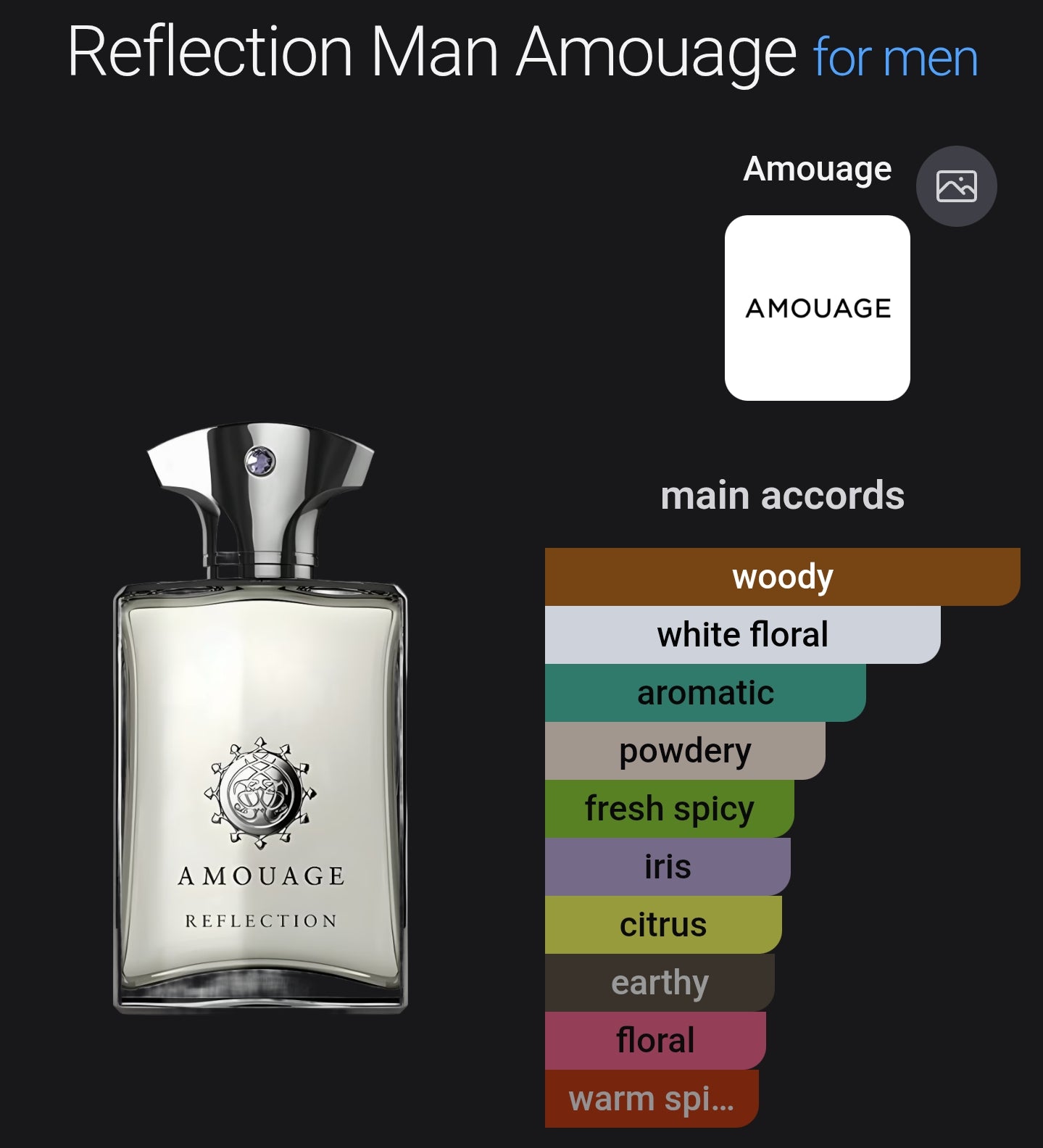 Amouage Reflection Man