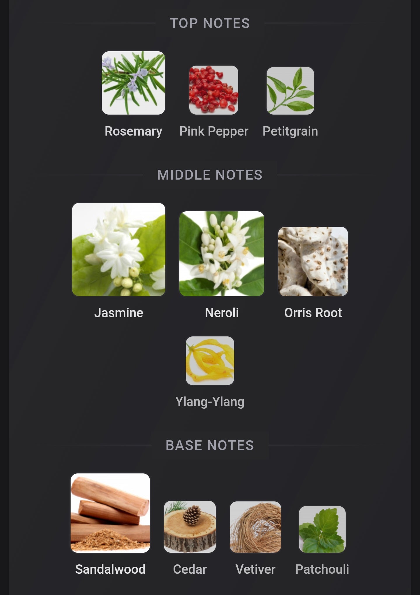 Amouage Reflection Man