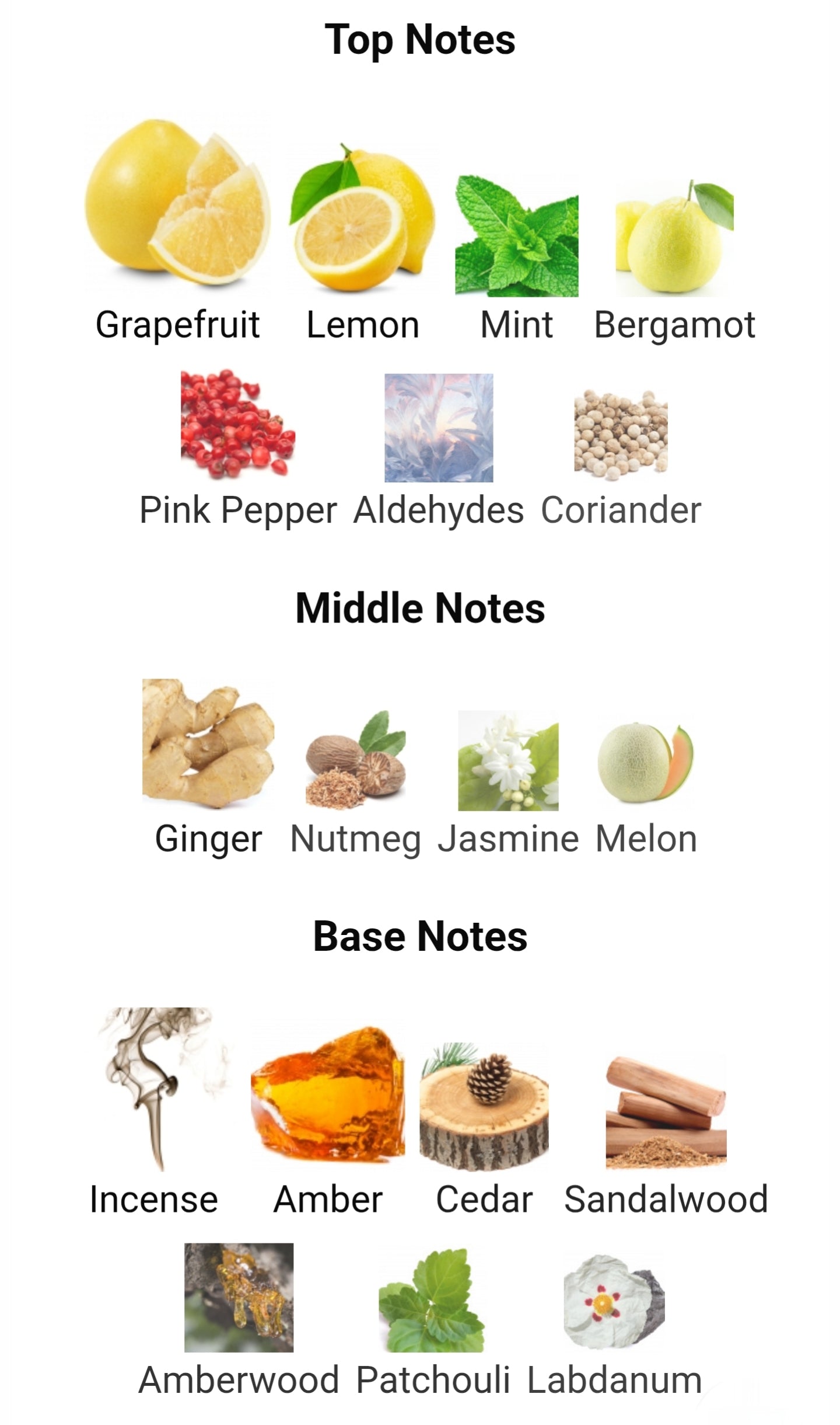 Chanel Bleu De Chanel EDP