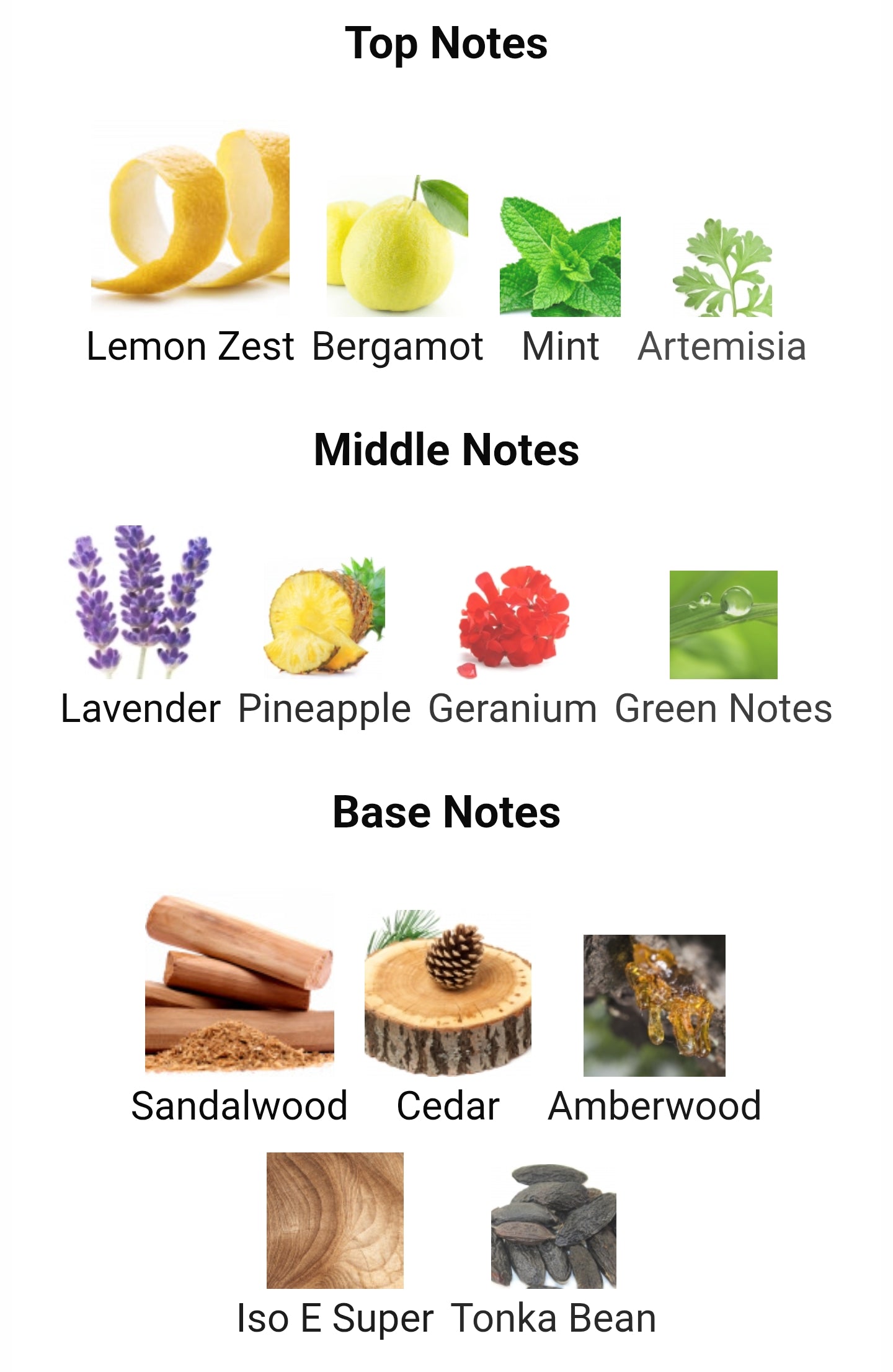 Chanel Bleu De Chanel Parfum