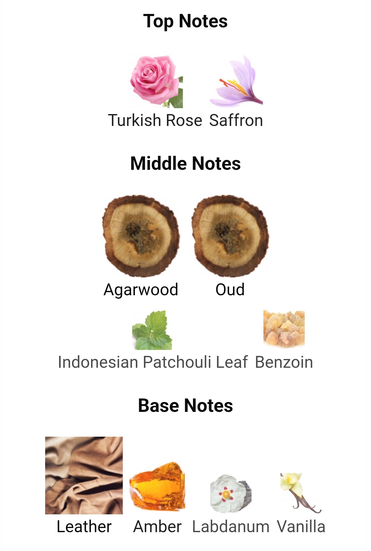 Fragrance World Oud Madness