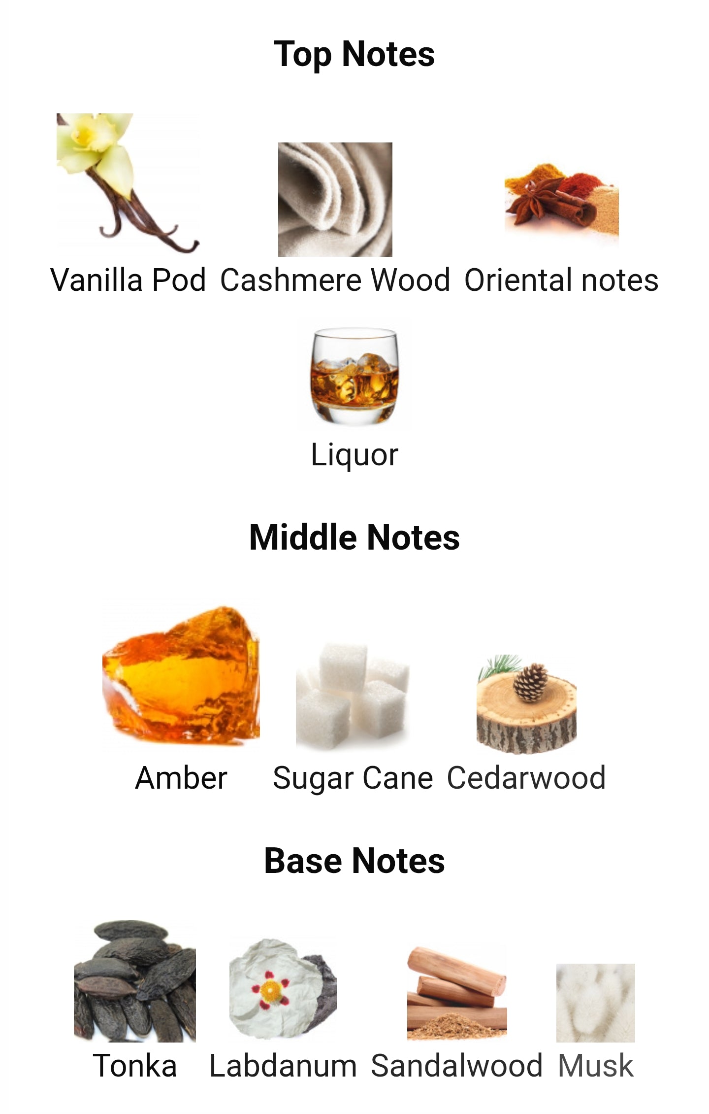 French Avenue Amber Empire