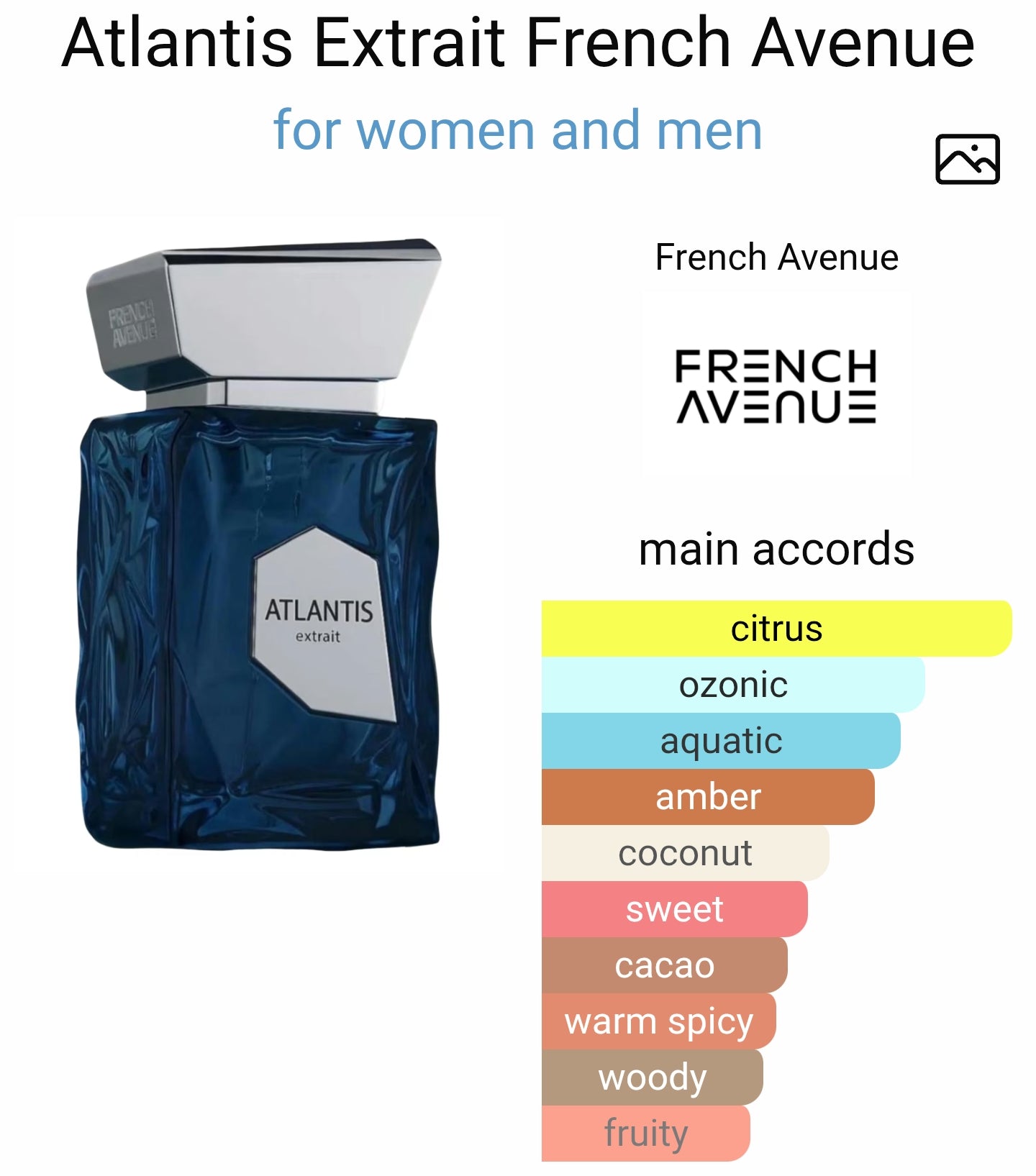 French Avenue Atlantis