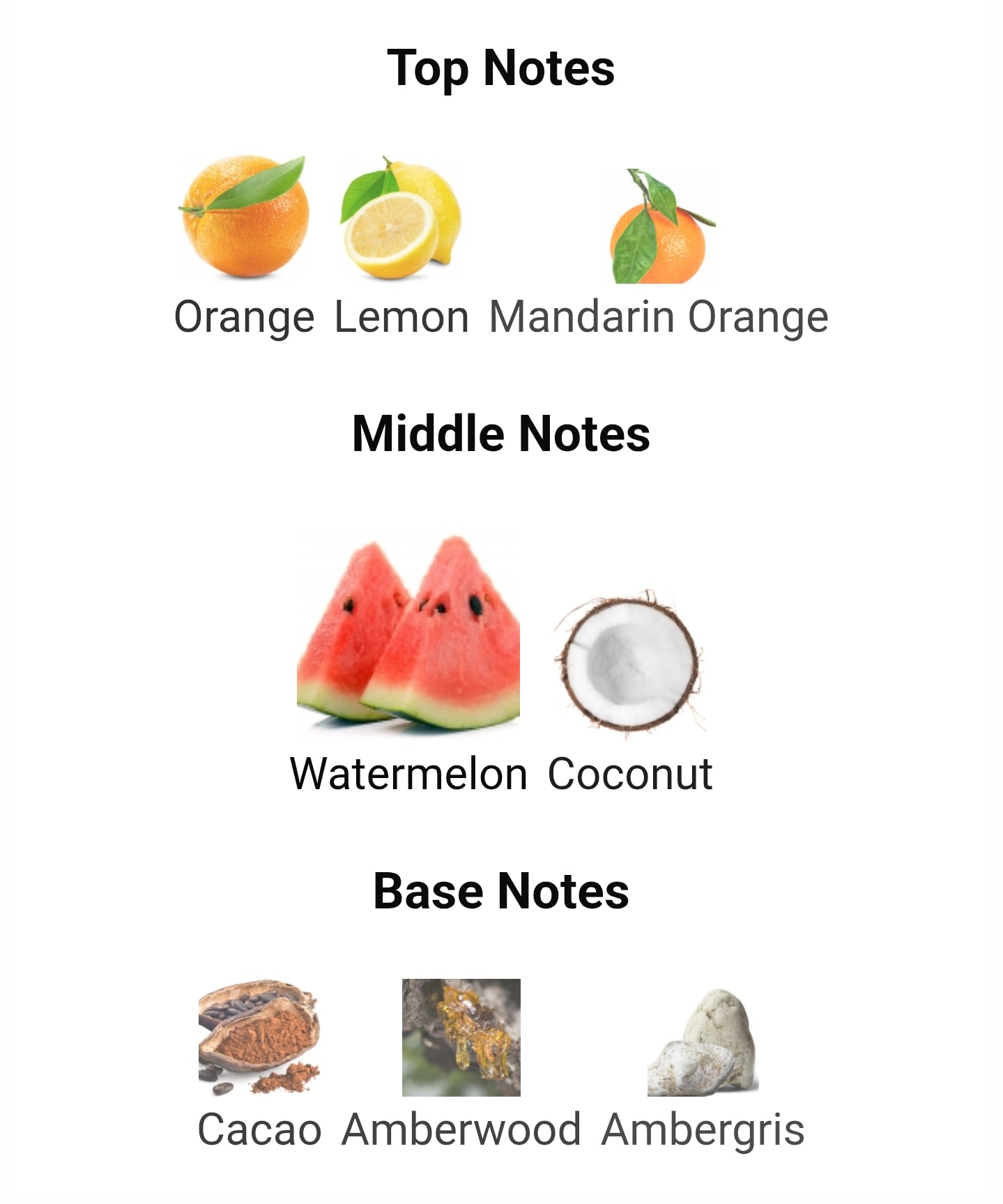 French Avenue Atlantis