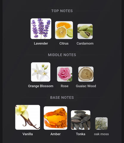 French Avenue Liquid Brun Limited Edition