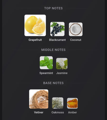 French Avenue Safari Breeze