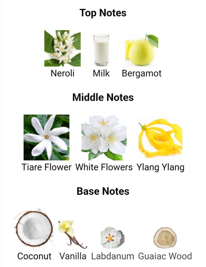 French Avenue Veneno Bianco