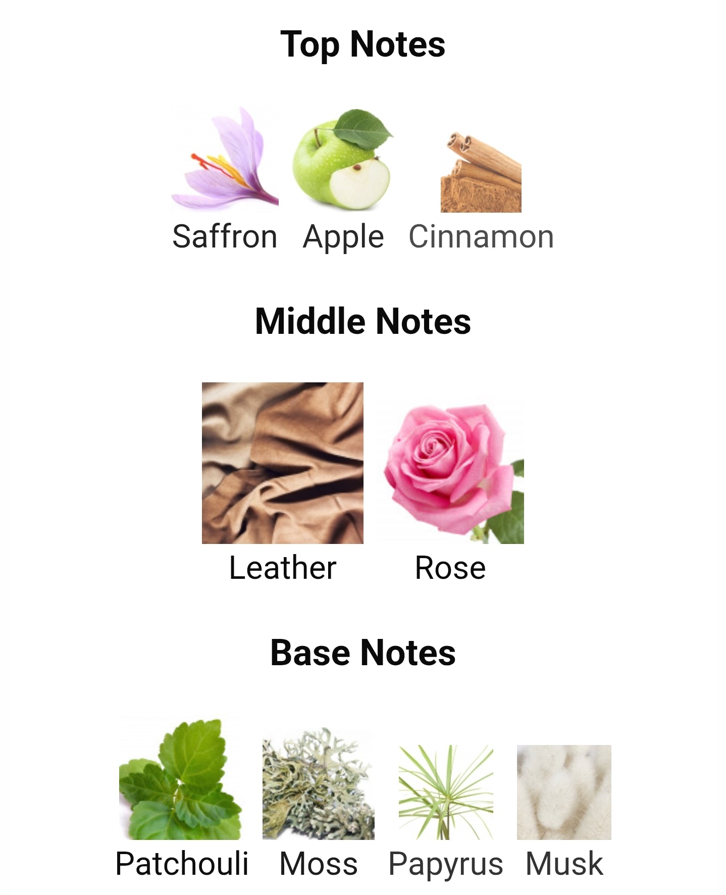 French Avenue Vulcan Black