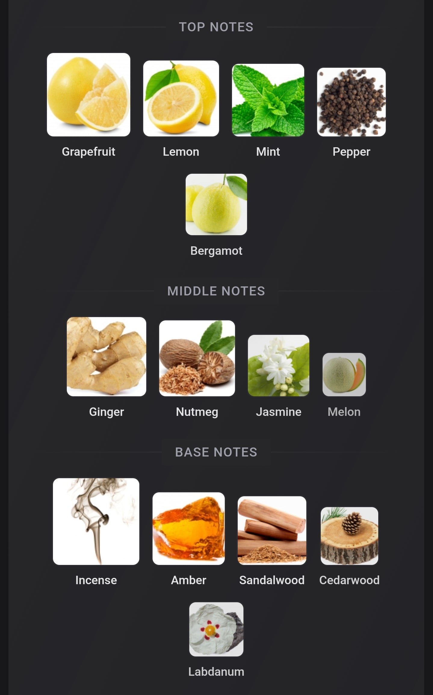 French Avenue Zenith Deep