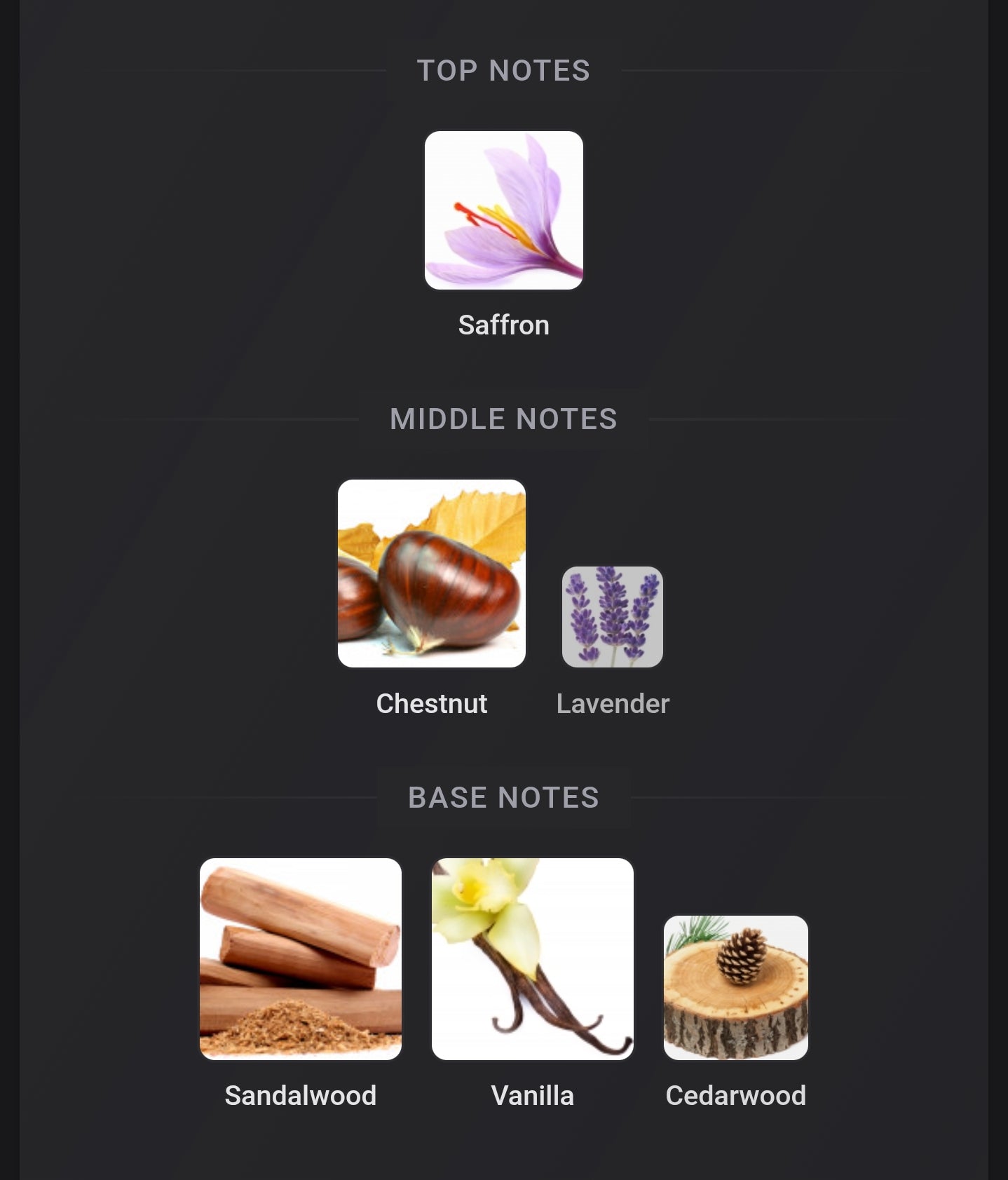 French Avenue Zenith Santal