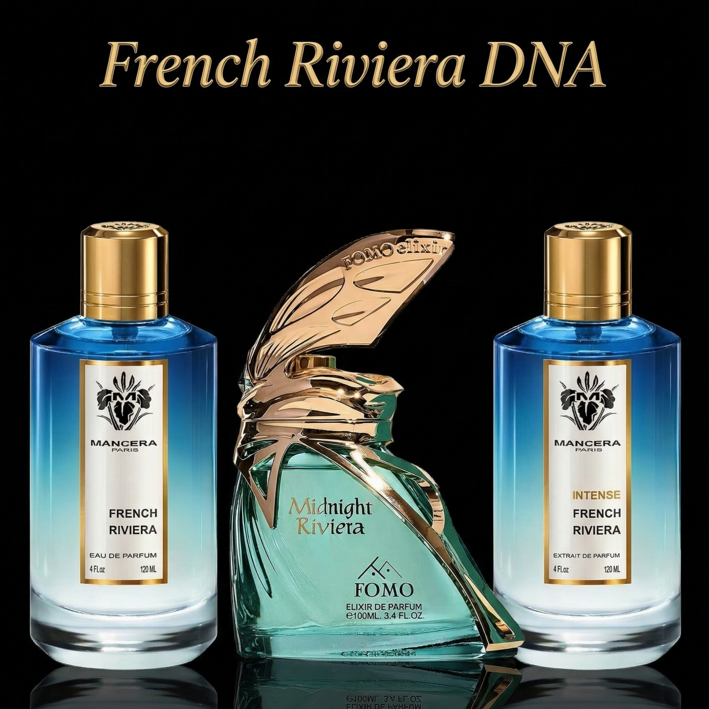 French Riviera DNA Discovery Set