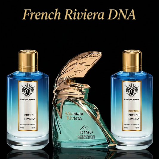 French Riviera DNA Discovery Set
