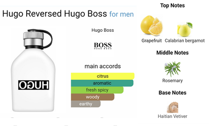 Hugo Boss Reversed