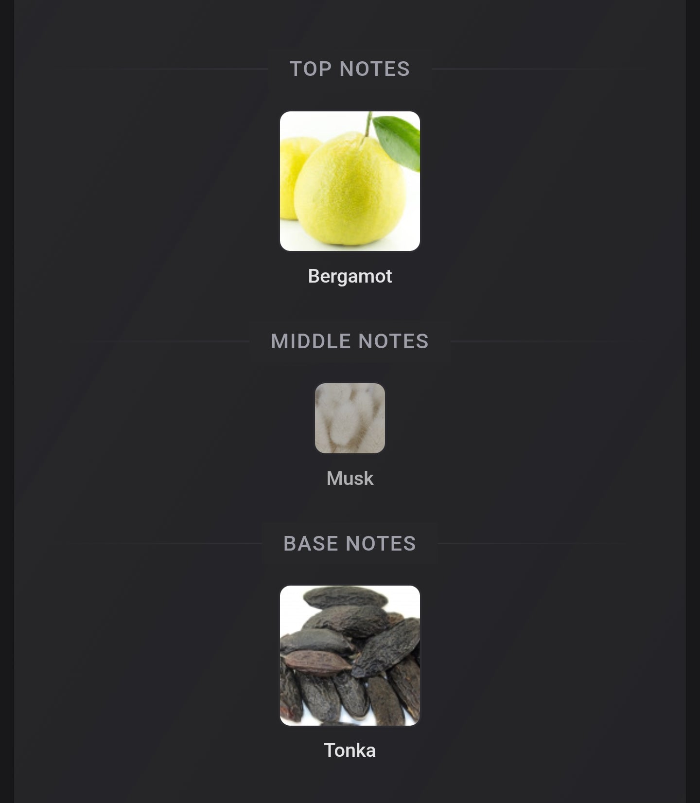 Jean Paul Gaultier Le Beau Narcisse