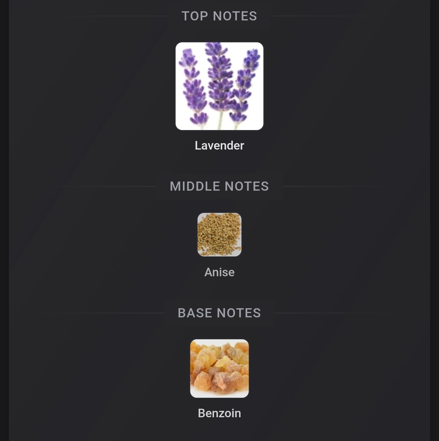 Jean Paul Gaultier Le Male In Blue