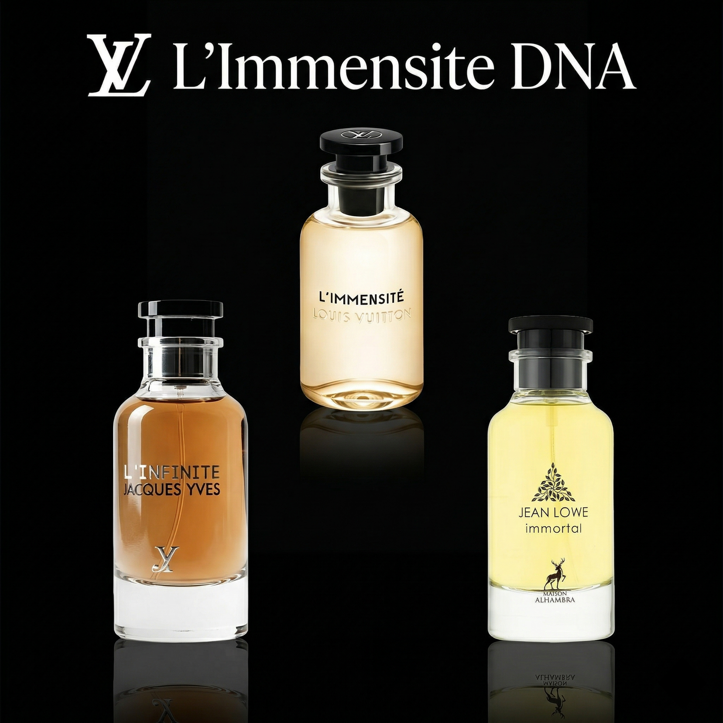LV L'Immensite DNA Discovery Set