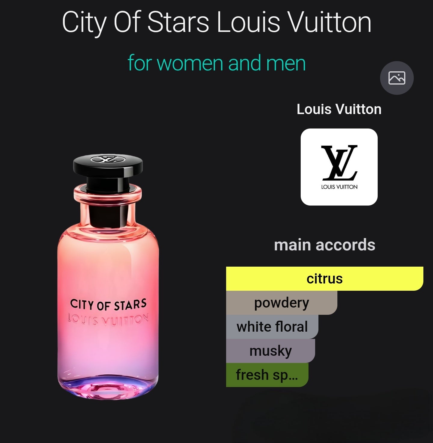 Louis Vuitton City Of Stars