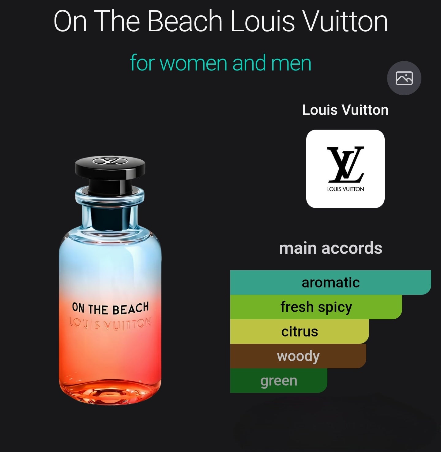 Louis Vuitton On The Beach