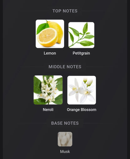 Louis Vuitton Sun Song