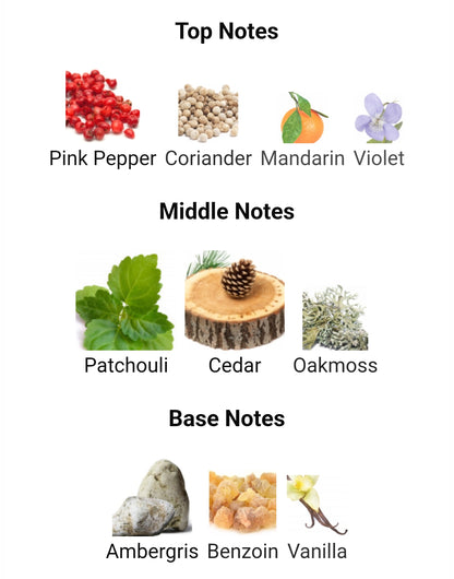 Paris Corner Emir Rifaaqat Adorn