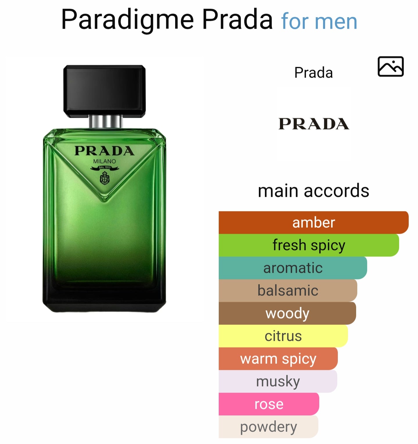 Prada Paradigme