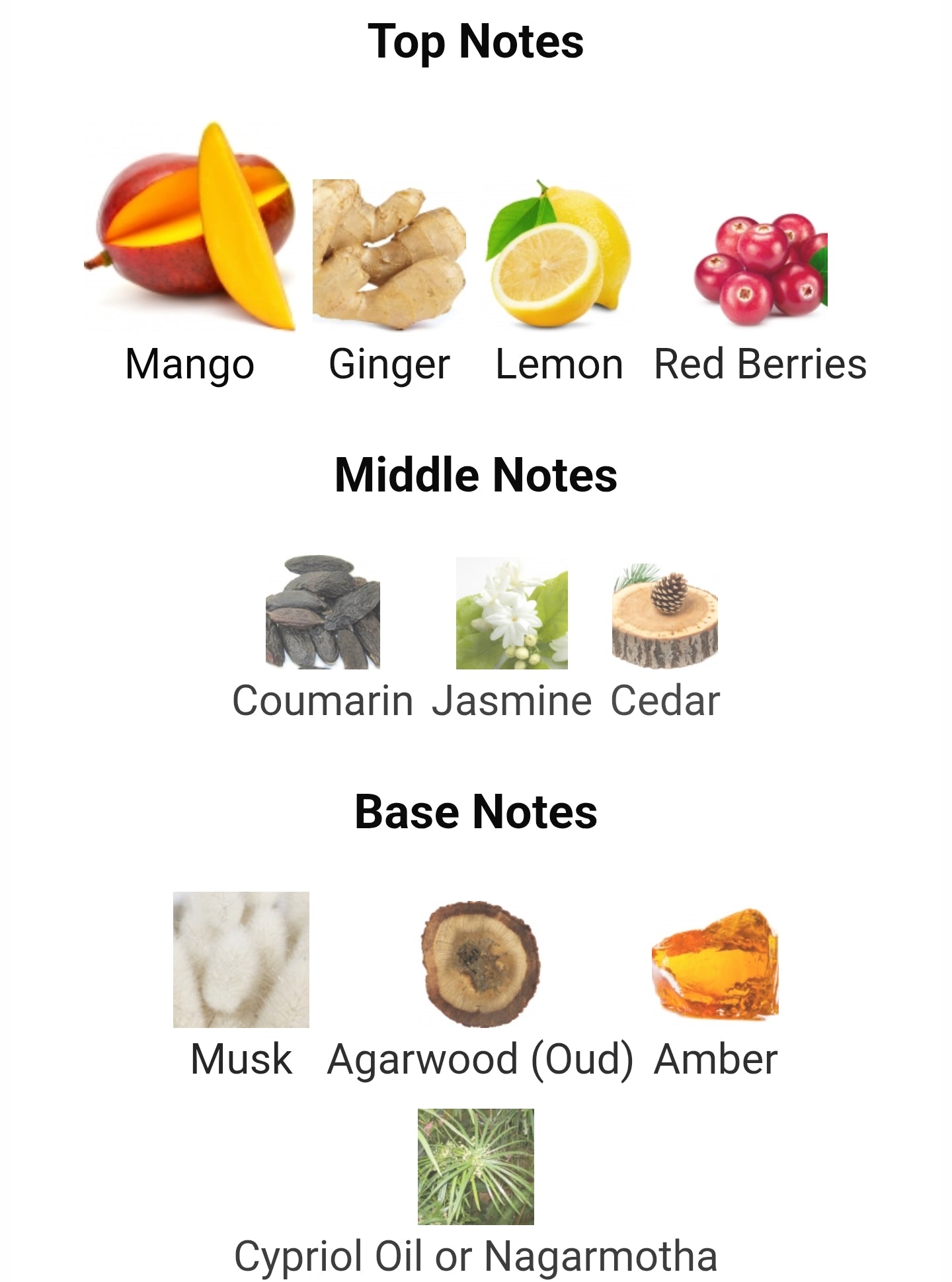 Stephane Humbert Lucas God Of Fire