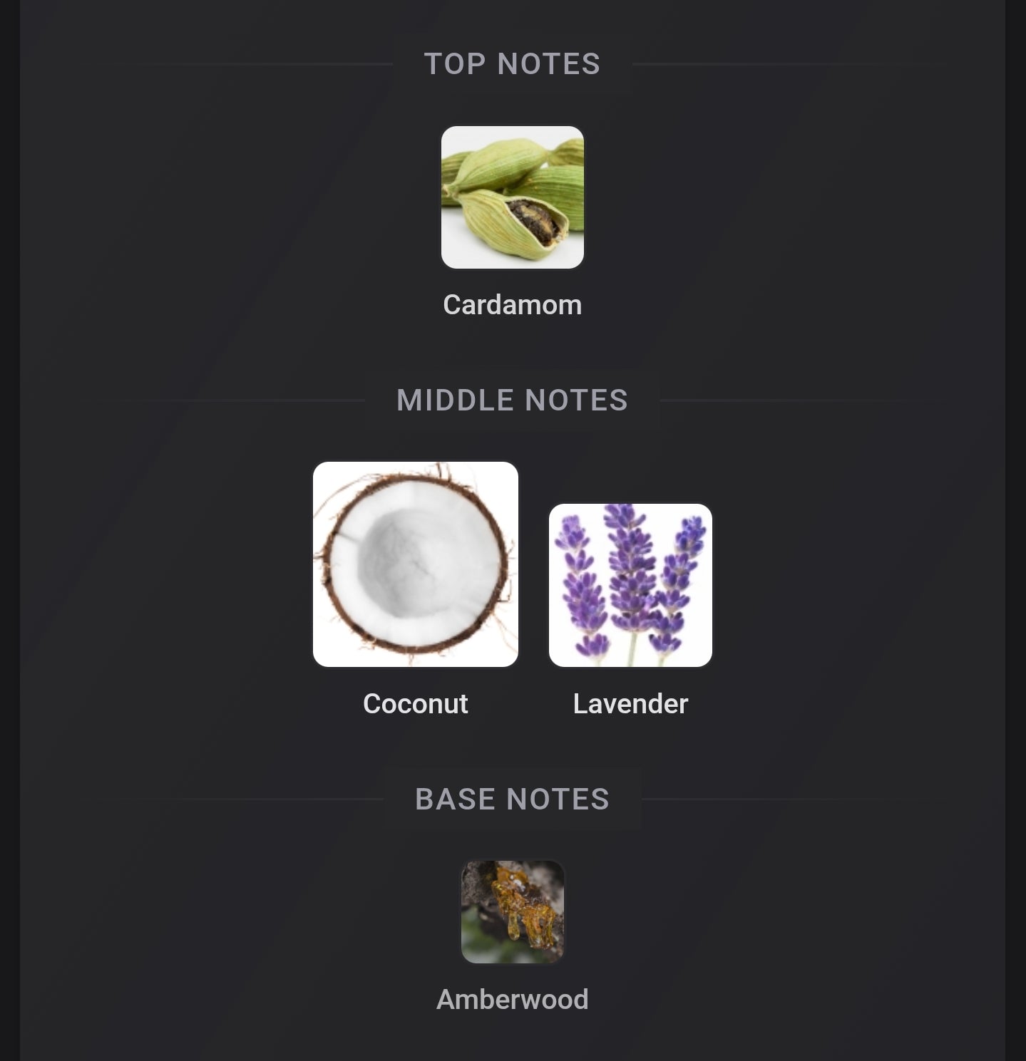 Valentino Born In Roma Purple Melancholia