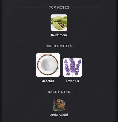 Valentino Born In Roma Purple Melancholia