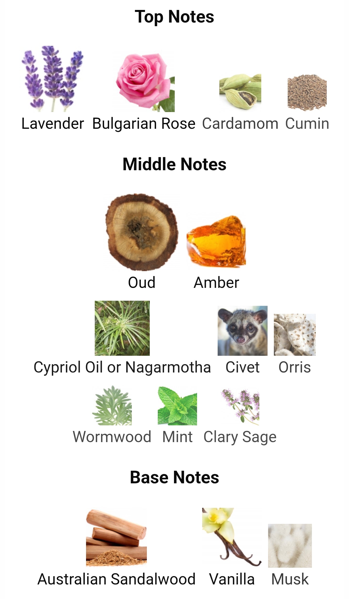 Xerjoff Alexandria II Anniversary