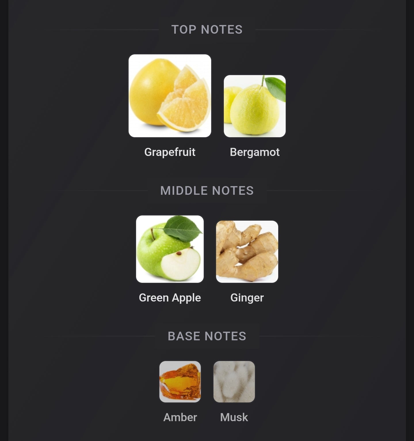 Zimaya Mazaaj Rhythm