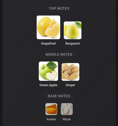 Zimaya Mazaaj Rhythm